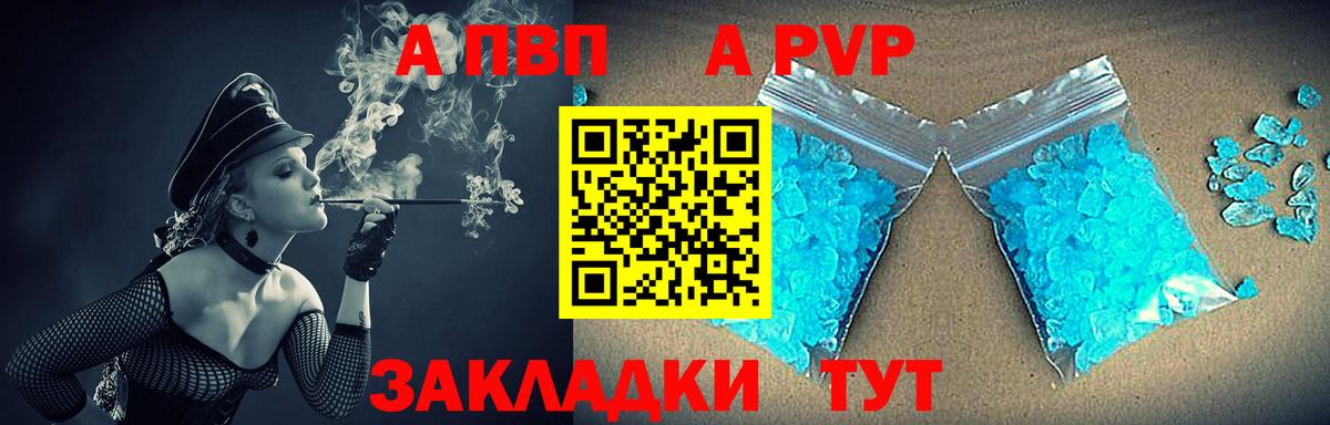 Alfa_PVP СК Краснознаменск